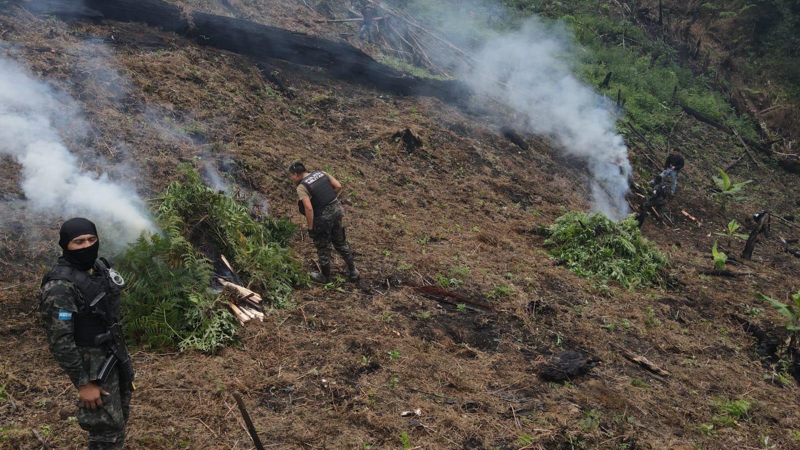 Incineran Plantaci N De Droga En Yoro Extra Digital Honduras