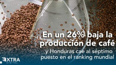 Cambio climático y escasez de mano de obra impactan en la producción cafetalera de Honduras