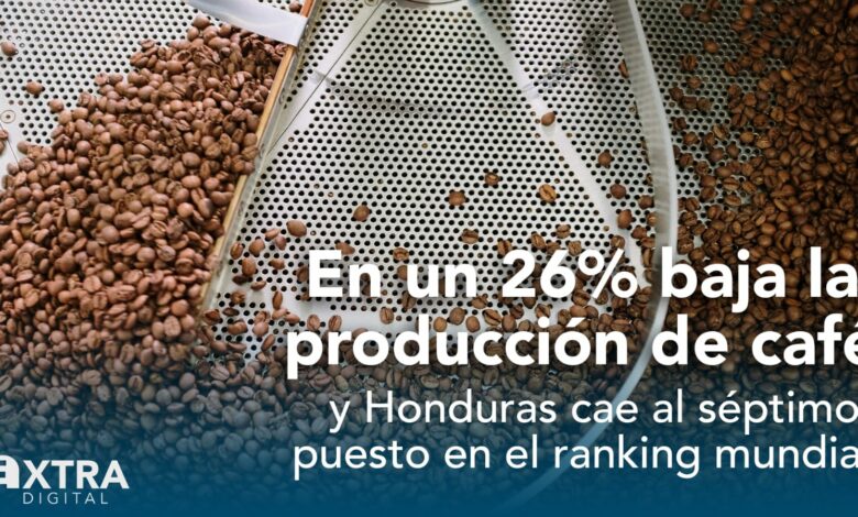 Cambio climático y escasez de mano de obra impactan en la producción cafetalera de Honduras