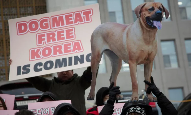 Corea del Sur aprueba prohibir el consumo humano de carne de perro para 2027