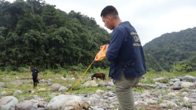 Intervienen la Cuenca del Río Cangrejal luego de que se viralizó que extranjeros intentaron cerrarlo