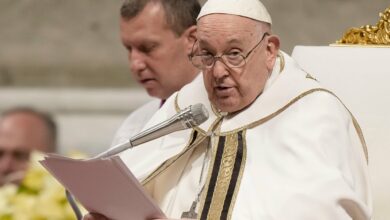 El papa Francisco condena la gestación subrogada y pide un veto universal a la práctica