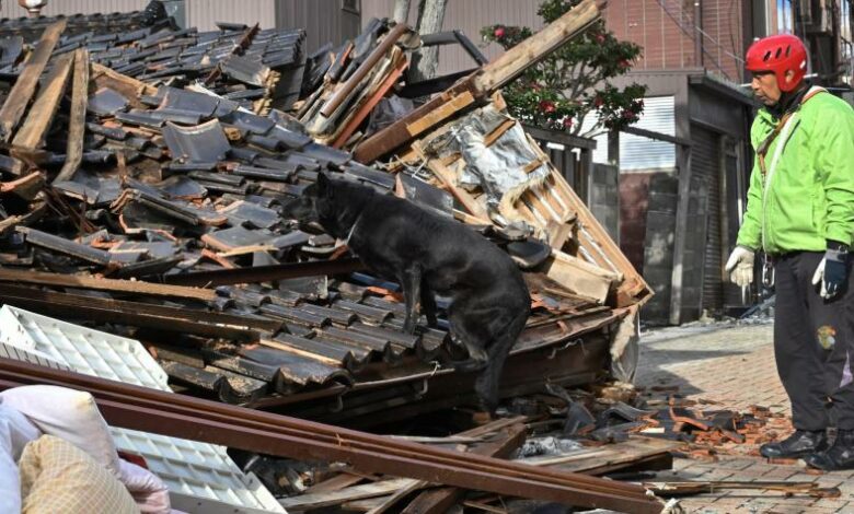 Perro rescata a una anciana atrapada en una casa tras terremoto en Japón