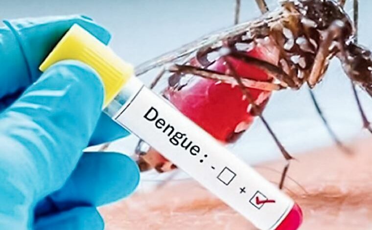 Se registra el primer deceso por dengue del año en la capital