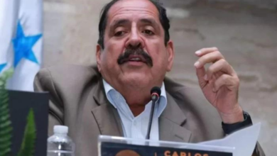 Declaración de Fabio Lobo sobre Carlos Zelaya es un “chisme”, dicen desde el oficialismo 