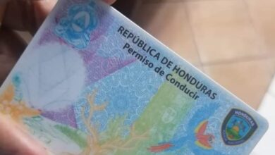 DNVT volverá a emitir el permiso de conducir virtual