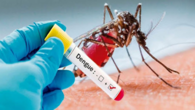Doctor Umaña pide que se declare emergencia nacional por dengue