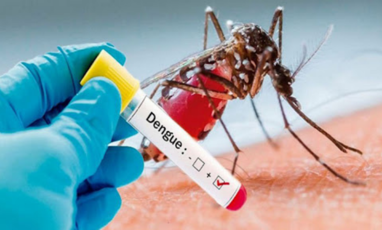 Doctor Umaña pide que se declare emergencia nacional por dengue