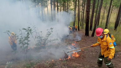 ICF reporta más de 40 incendios forestales en lo que va del 2024