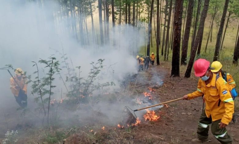 ICF reporta más de 40 incendios forestales en lo que va del 2024