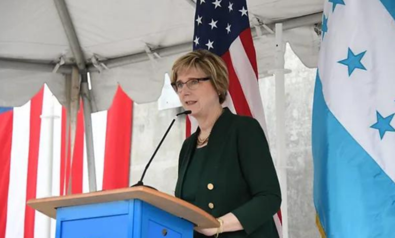 La embajadora de Estados Unidos en Honduras, Laura Dogu.