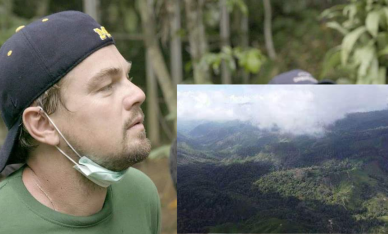 Leonardo DiCaprio está interesado en financiar una nueva área protegida en Honduras