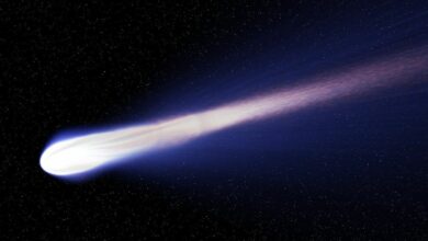 El ‘cometa diablo' pasa cerca de la tierra (VIDEO)