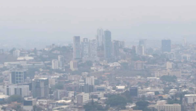 Los incendios a los alrededores de la capital hondureña han provocado que este día haya una capa de humo que ya obstaculiza la actividad aérea.