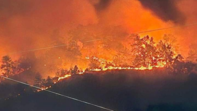 El devastador incendio ha consumido varias hectáreas de bosque en una montaña de Villanueva, Cortés.