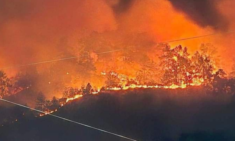 El devastador incendio ha consumido varias hectáreas de bosque en una montaña de Villanueva, Cortés.