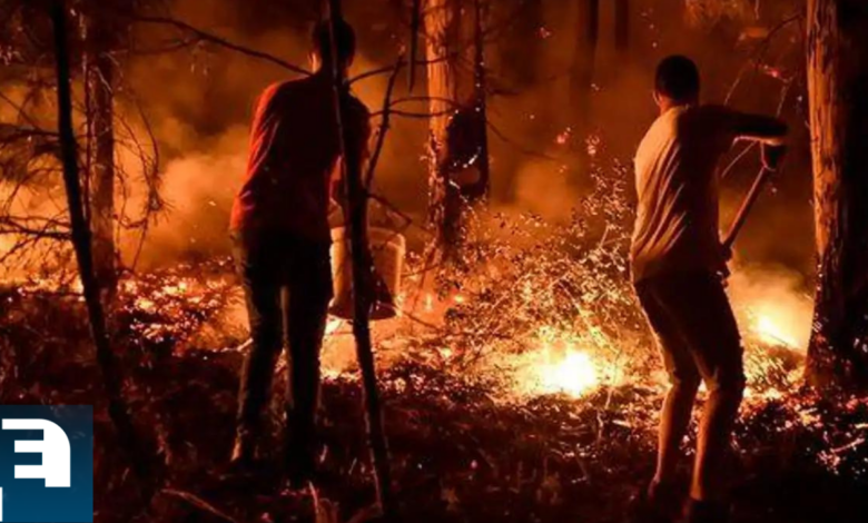 Melvin Yovani Hernández Núñez es acusado de supuestamente provocar un incendio forestal que causó daños al equilibrio de los ecosistemas.