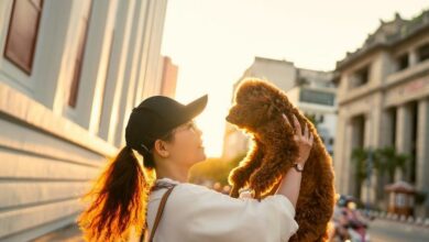 Jugar con perros mejora el estado de ánimo de las personas, según estudio