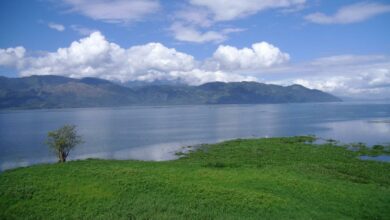 Honduras busca revitalizar lago afectado por sobreexplotación y contaminación con respaldo de la Unión Europea