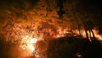 OACNUDH condena incendio en La Tigra y exige investigación exhaustiva