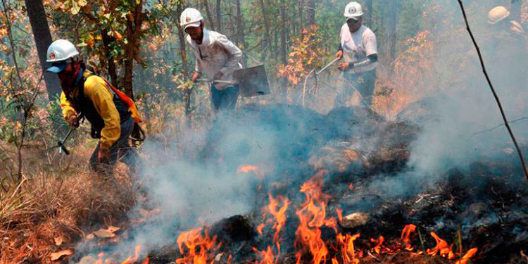 ICF reporta más de 430 incendios forestales en lo que va del 2024.