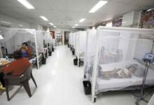 Aumenta ingreso de niños con dengue en Hospital Materno Infantil durante Semana Santa