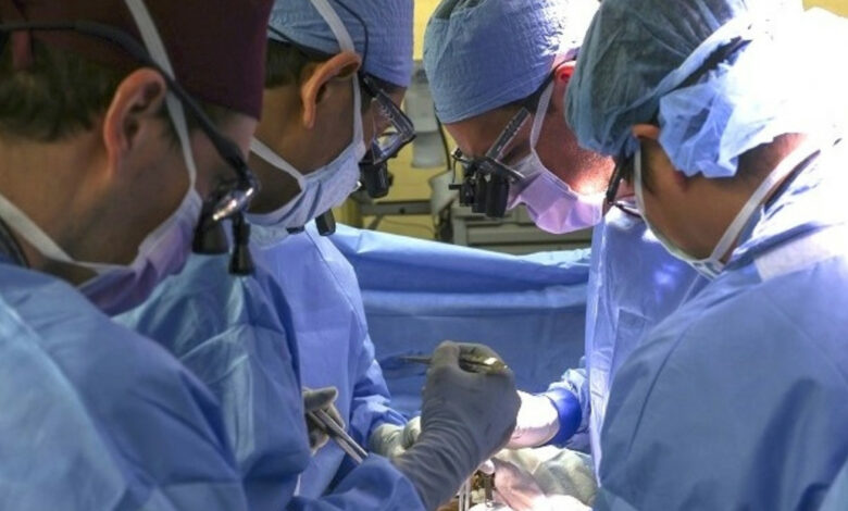 Mujer sobrevive más de 40 días con un clavo en la arteria carótida tras comer un chicharrón