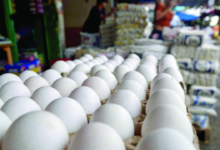 En los mercados capitalinos el producto avícola se mantiene en 98 y 66 lempiras por cartón, dependiendo el tamaño.
