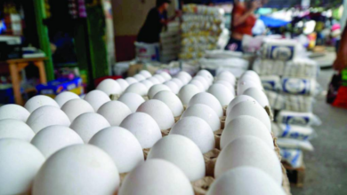 En los mercados capitalinos el producto avícola se mantiene en 98 y 66 lempiras por cartón, dependiendo el tamaño.