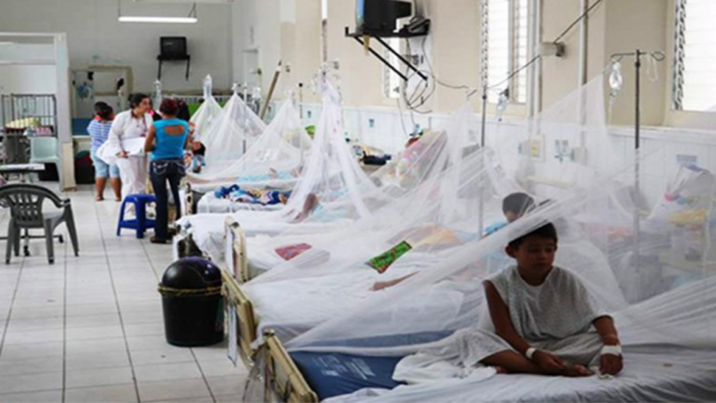 La Organización Panamericana de la Salud (OPS) otorgó 24 mil dólares para fortalecer la respuesta ante la emergencia epidemiológica por dengue en el país.