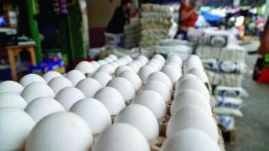 Baja el precio del huevo: un respiro para los consumidores