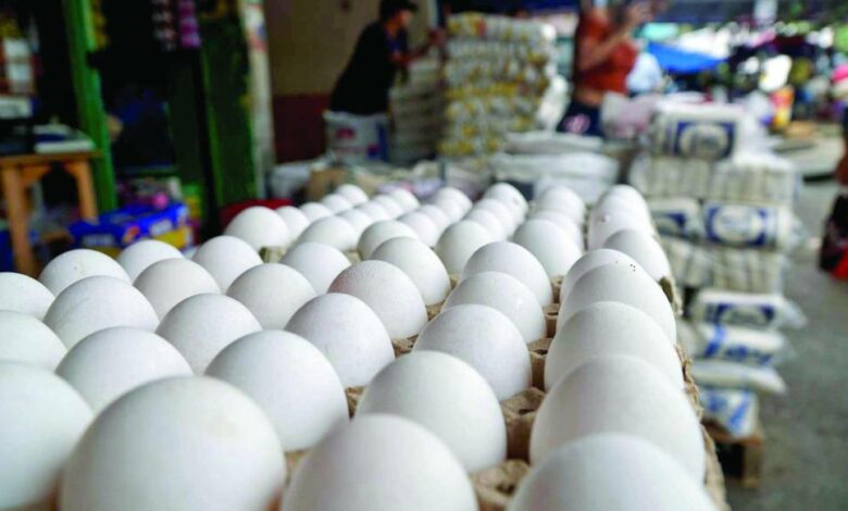 Baja el precio del huevo: un respiro para los consumidores