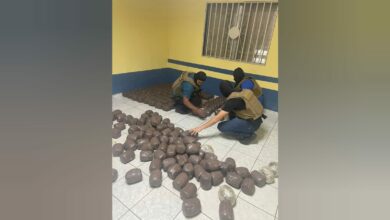 Incautan más de 280 libras de marihuana en El Paraíso, Honduras