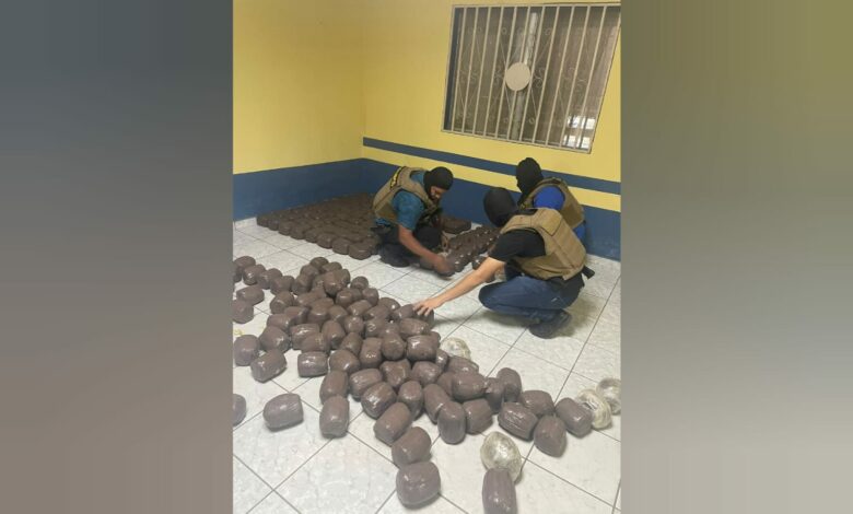 Incautan más de 280 libras de marihuana en El Paraíso, Honduras