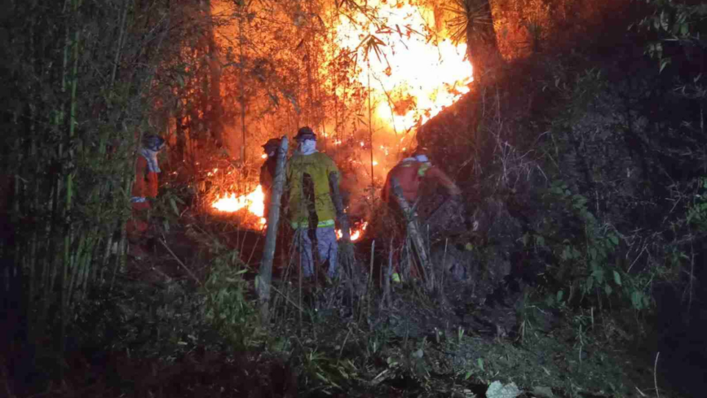  De acuerdo a las estadísticas oficiales, más del 95 por ciento de los incendios son provocados por mano criminal.