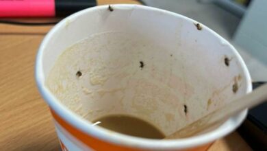 Hospitalizan a una mujer tras beber café con insectos de una maquina