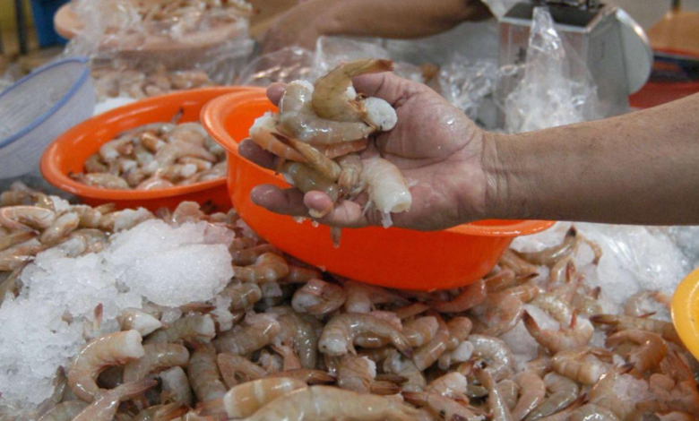 Las bajas ventas del camarón han impactado en la creación de empleo en la zona sur del país.
