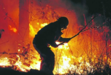 Olancho y Francisco Morazán, son los departamentos que más hectáreas de bosque han perdido debido a los incendios forestales.