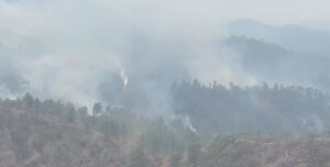 Incendio Forestal