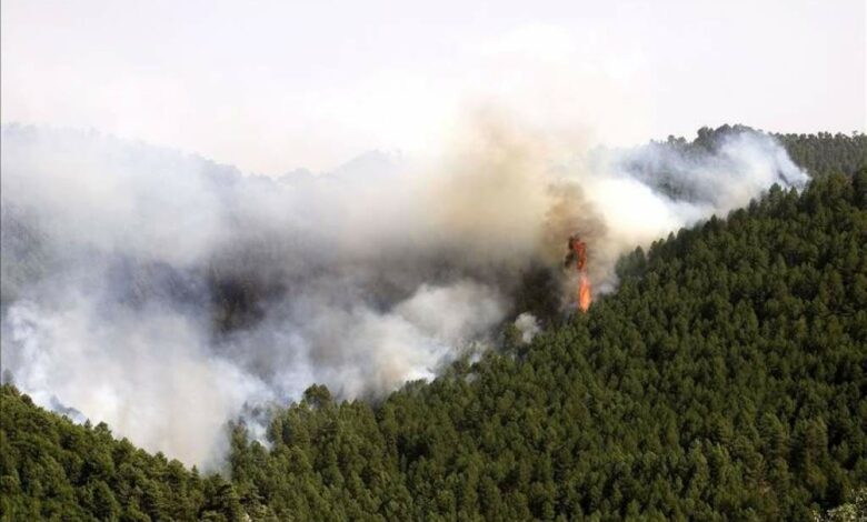 Incendio Forestal