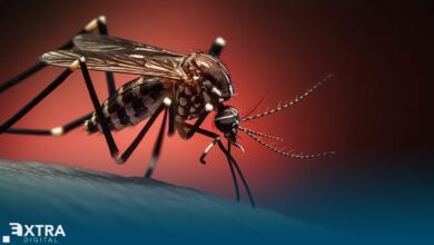 Dengue