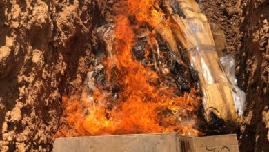 Incineran droga decomisada en 93 casos en Comayagua