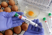 México niega un muerto por gripe aviar y acusa a la OMS de un comunicado “bastante malo”