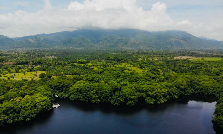 Estrategia “Cero Deforestación al 2029” anuncia Xiomara Castro