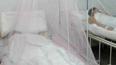 Aumenta a tres el número de muertes por dengue en Tegucigalpa