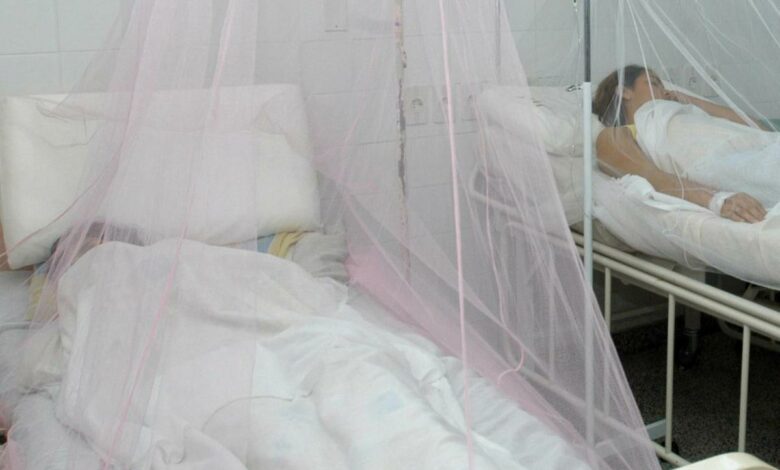 Aumenta a tres el número de muertes por dengue en Tegucigalpa