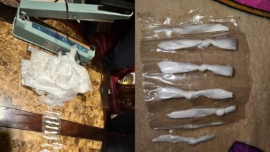 Decomisan supuesta cocaína en Yarumela, La Paz