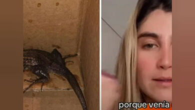 Mujer pidió freidora de aire por Amazon y recibió lagartija