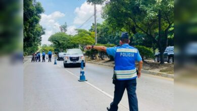 Agente de la DNVT fallece en accidente vial