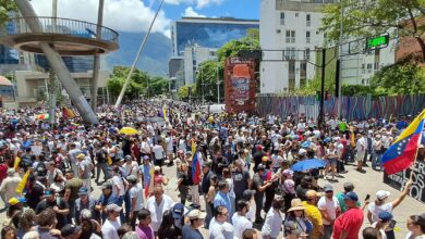 OEA llama "a la paz" en Venezuela tras resultados de las elecciones